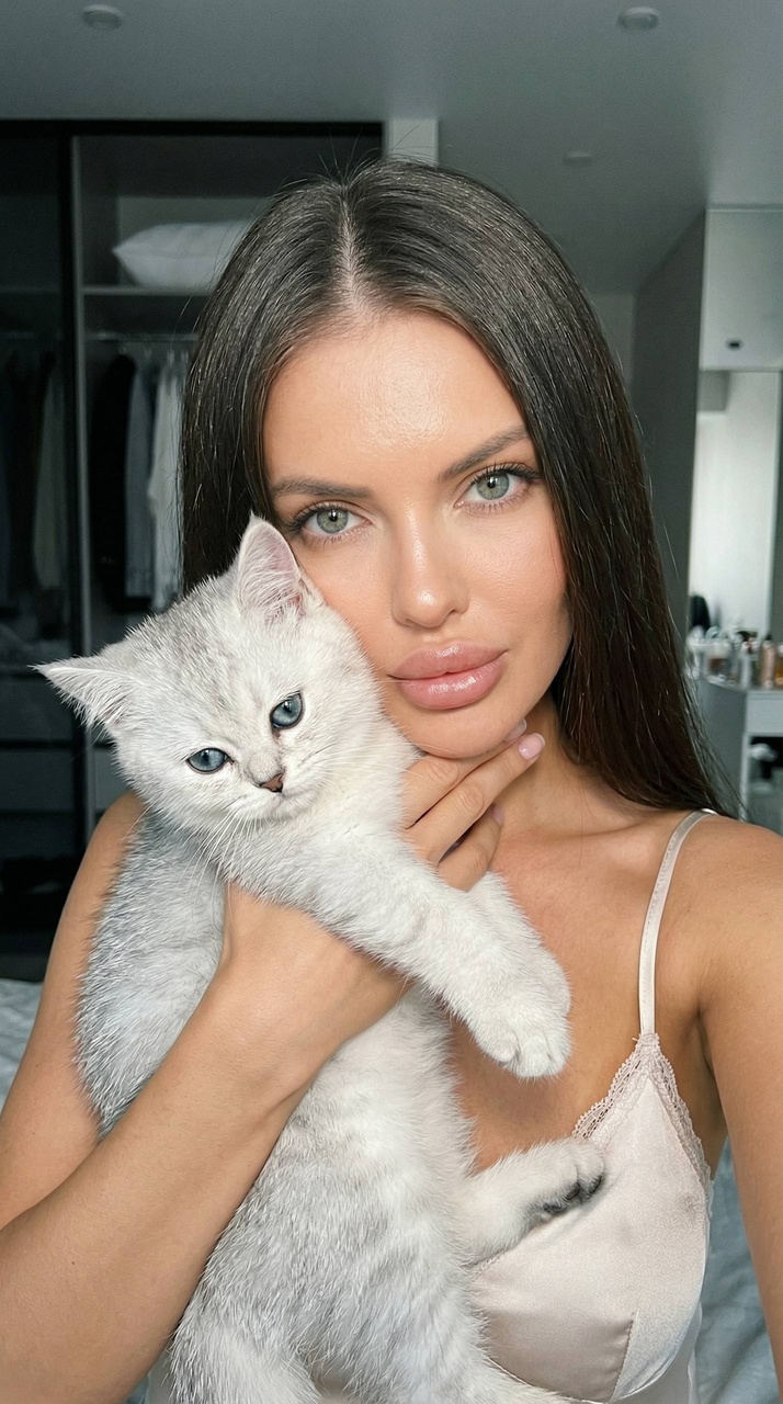 Селфи девушки с котёнком шотландской шиншиллы